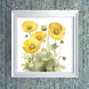 Dazzling yellow poppies Printable Wall Art